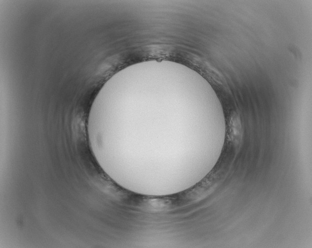 X0000115190522200911181450