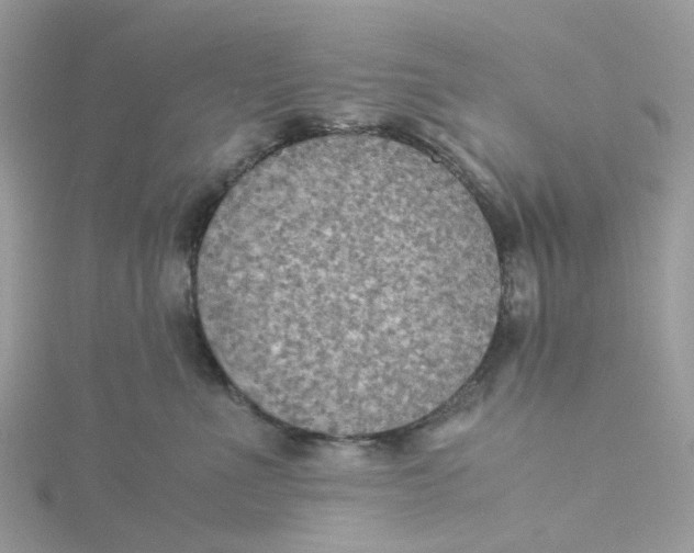 X0000115190523200911181450