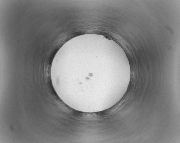 X0000115190525200911181450