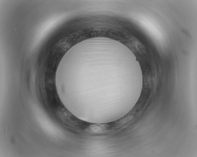 X0000115190526200911181450