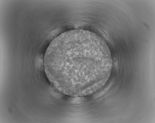 X0000115190527200911181450