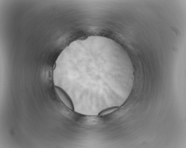 X0000115190528200911181450