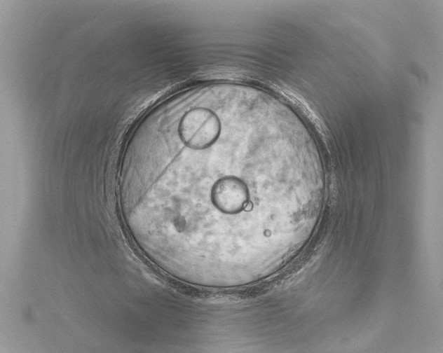 X0000115190529200911181450