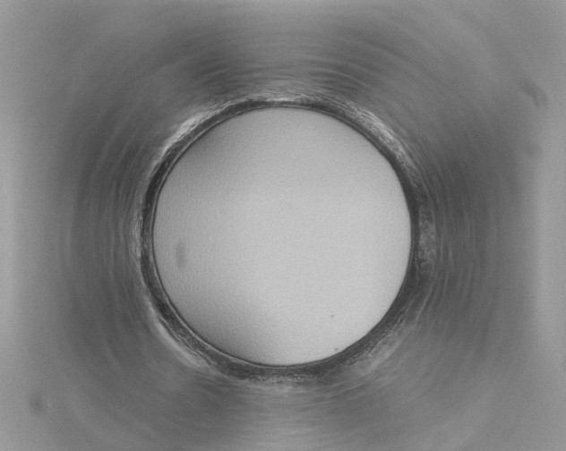 X0000115190530200911181450