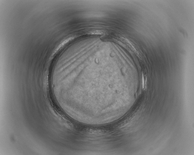 X0000115190531200911181450