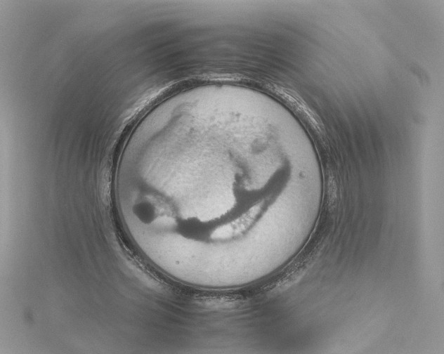 X0000115190533200911181450