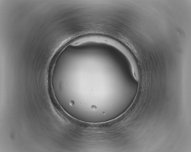 X0000115190534200911181450