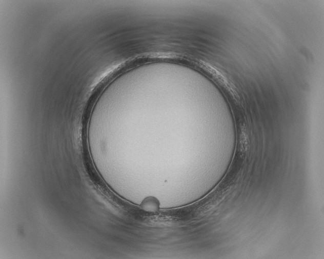 X0000115190535200911181450