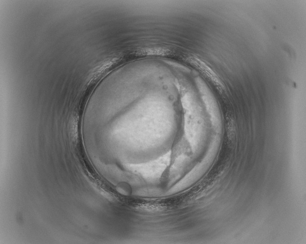 X0000115190537200911181450