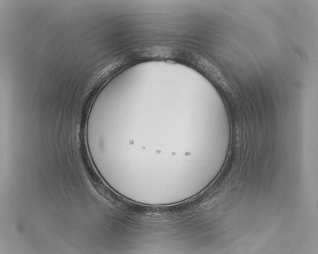 X0000115190538200911181450