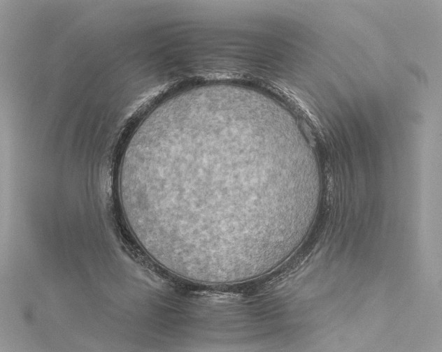 X0000115190539200911181450