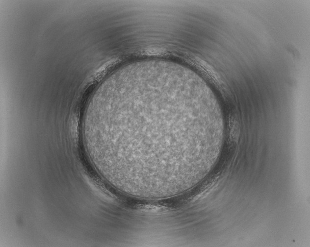 X0000115190542200911181450