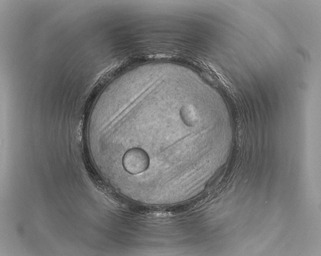 X0000115190543200911181450