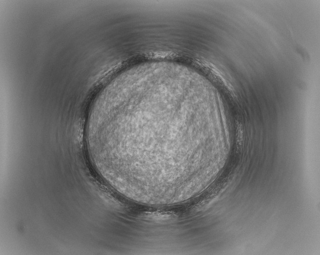 X0000115190545200911181450