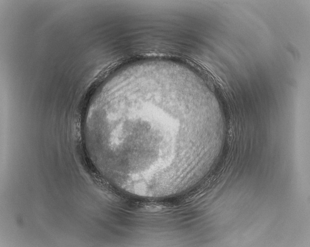 X0000115190547200911181450