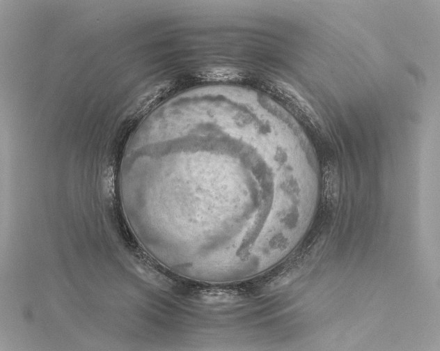 X0000115190549200911181450