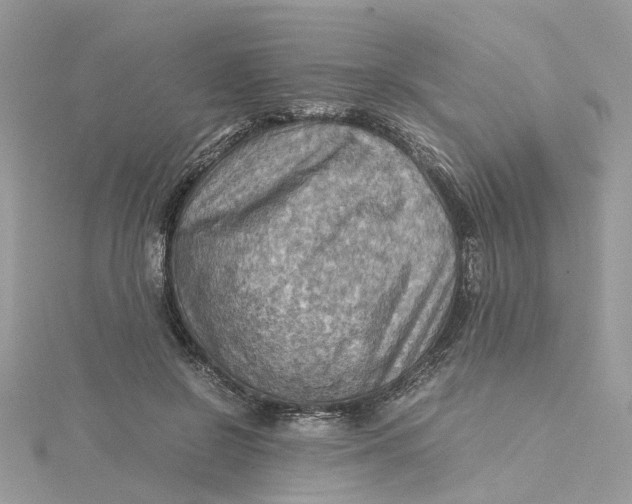 X0000115190550200911181450