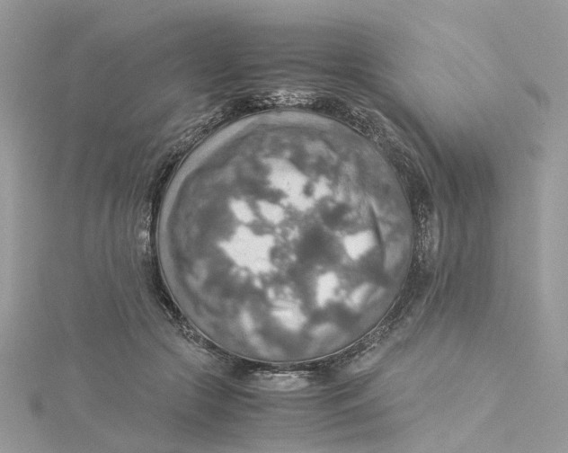 X0000115190553200911181450