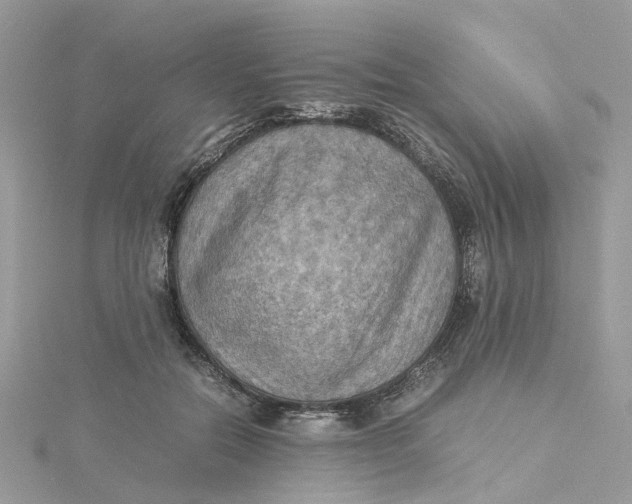 X0000115190554200911181450