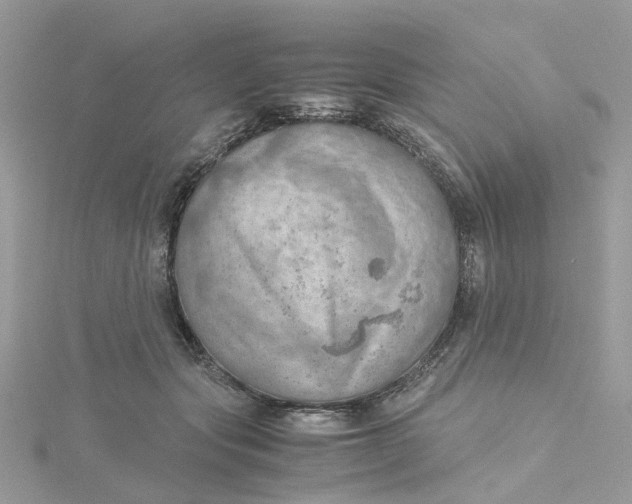 X0000115190557200911181450