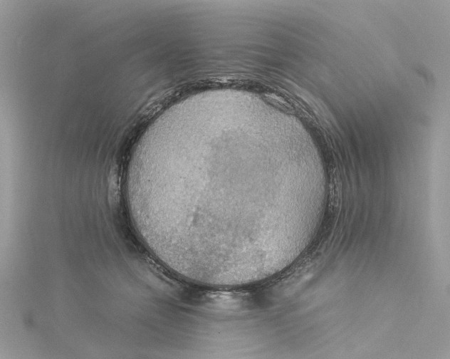 X0000115190558200911181450