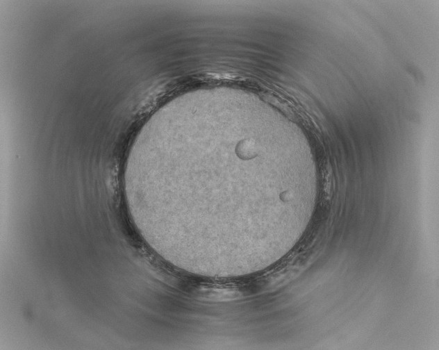 X0000115190559200911181450