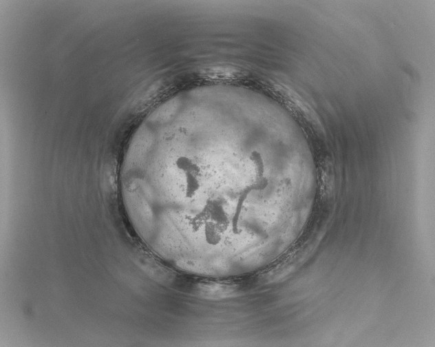 X0000115190561200911181450