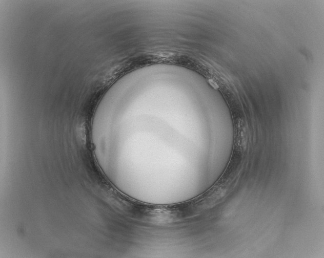 X0000115190562200911181450