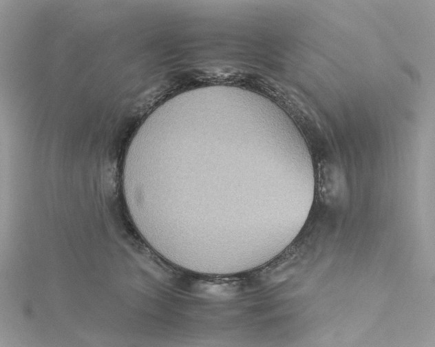 X0000115190563200911181450