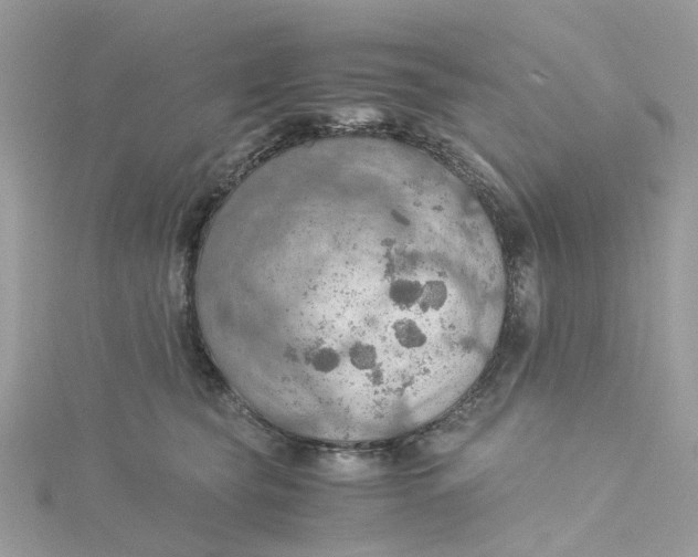 X0000115190565200911181450