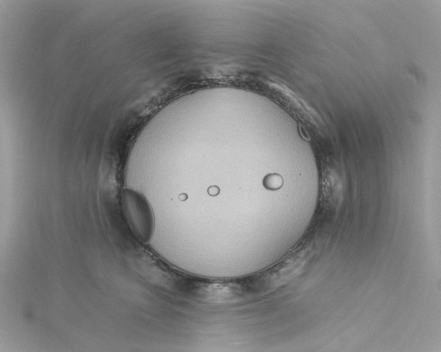 X0000115190566200911181450