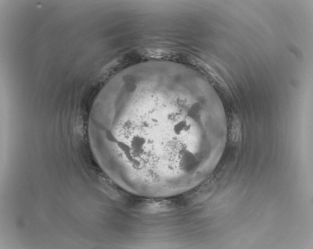 X0000115190569200911181450