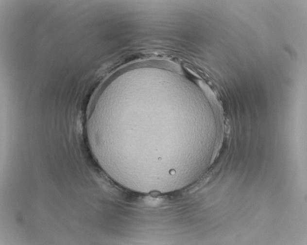 X0000115190570200911181450