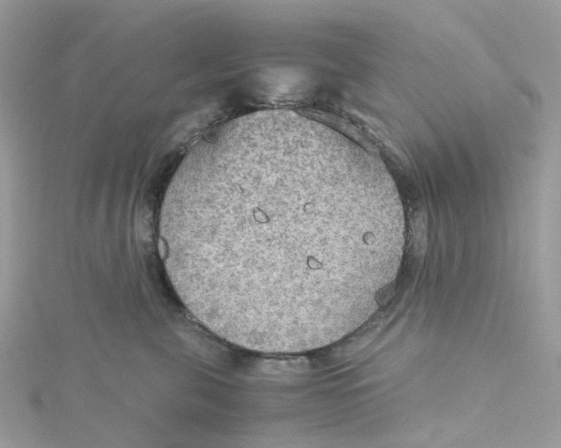 X0000115190571200911181450