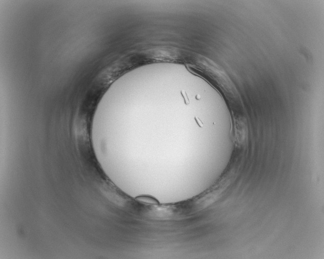 X0000115190573200911181450