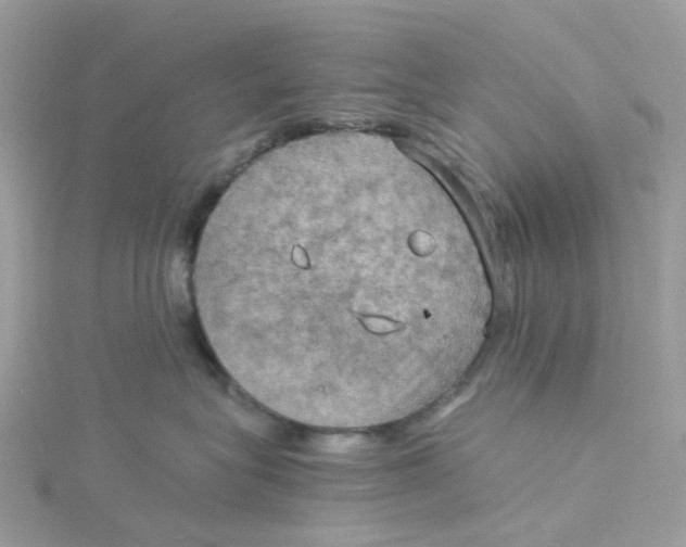 X0000115190575200911181450