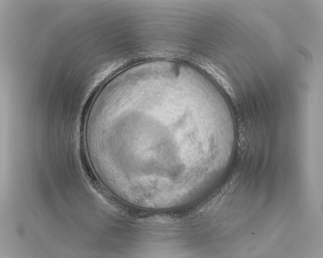 X0000115190578200911181450