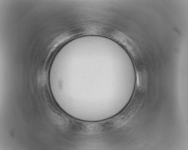 X0000115190579200911181450