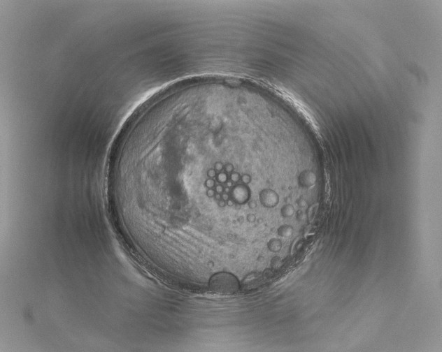 X0000115190580200911181450