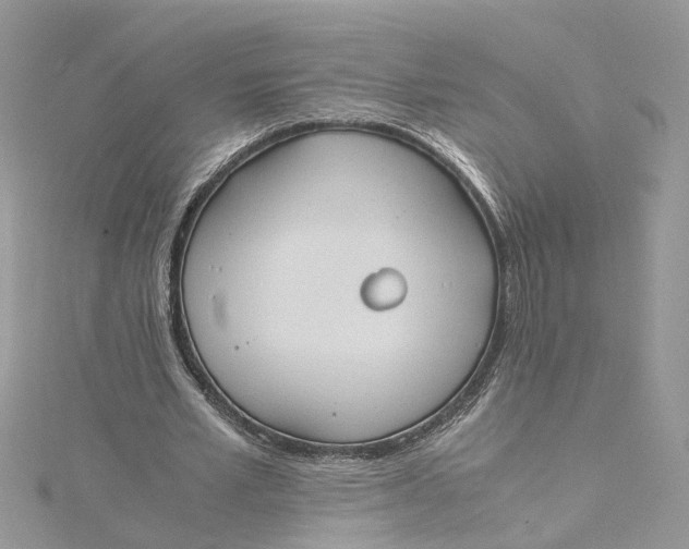 X0000115190581200911181450