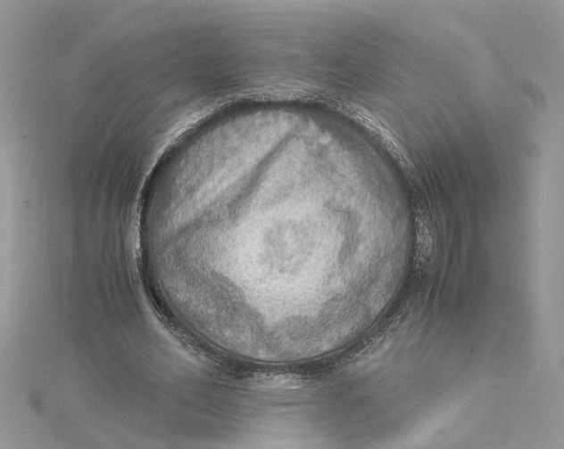 X0000115190582200911181450