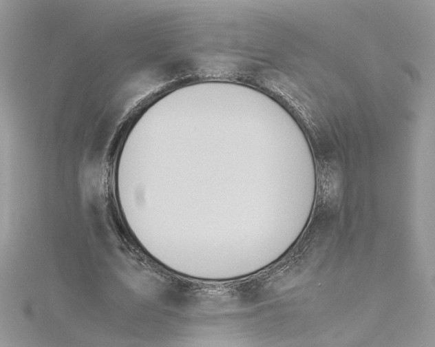 X0000115190583200911181450