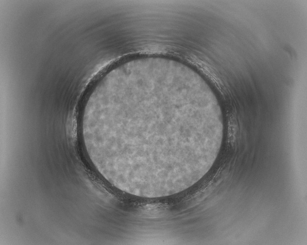 X0000115190584200911181450