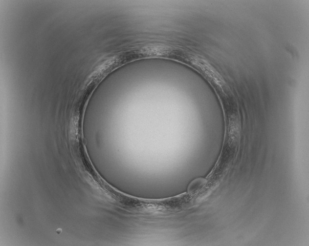 X0000115190585200911181450