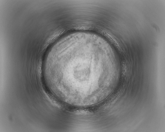 X0000115190586200911181450