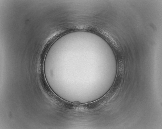 X0000115190587200911181449