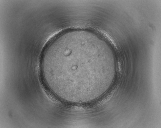 X0000115190588200911181449