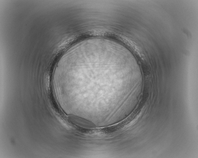 X0000115190589200911181449