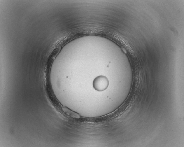 X0000115190590200911181449