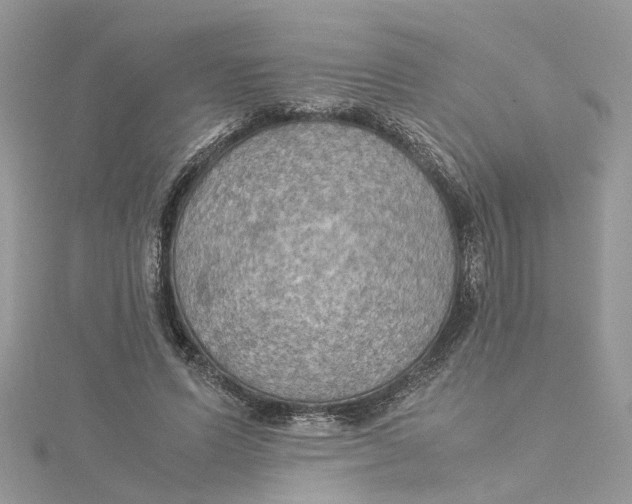 X0000115190591200911181449